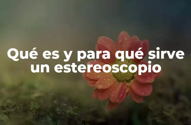 Qué es y para Qué Sirve un Estereoscopio