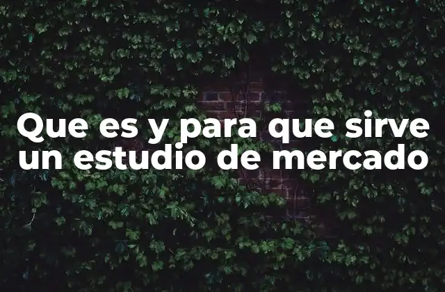 Cómo los estudios de mercado influyen en la toma de decisiones empresariales