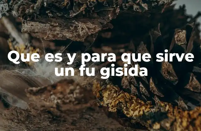 Que es y para que Sirve un Fu Gisida