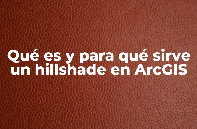 Qué es y para Qué Sirve un Hillshade en Arcgis