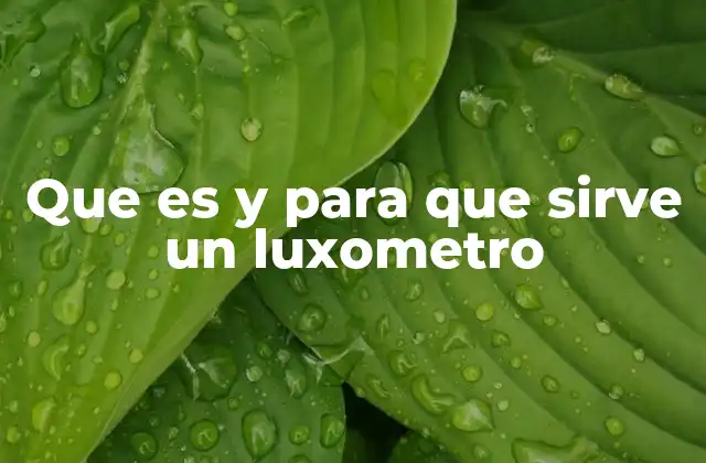 Que es y para que Sirve un Luxometro