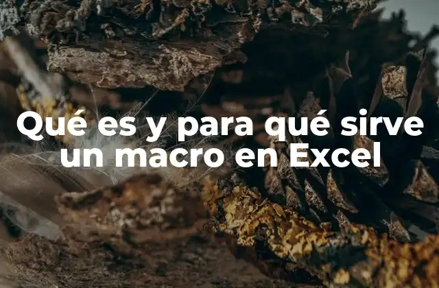 Qué es y para Qué Sirve un Macro en Excel