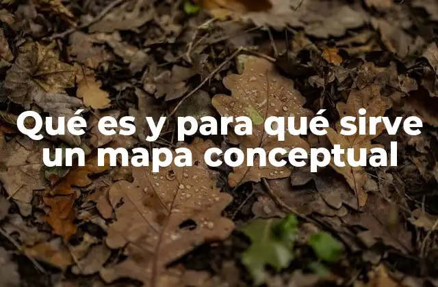 Qué es y para Qué Sirve un Mapa Conceptual