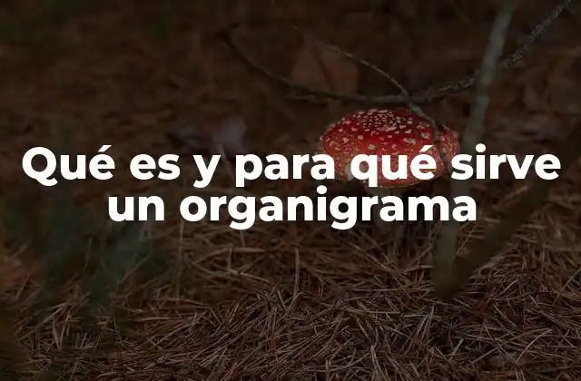 Qué es y para Qué Sirve un Organigrama
