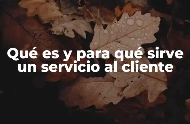 Qué es y para Qué Sirve un Servicio Al Cliente