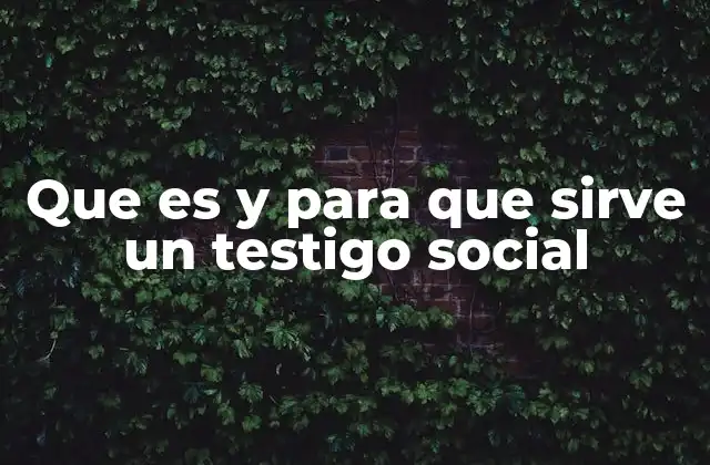 Que es y para que Sirve un Testigo Social 2 La importancia de la observación en situaciones críticas