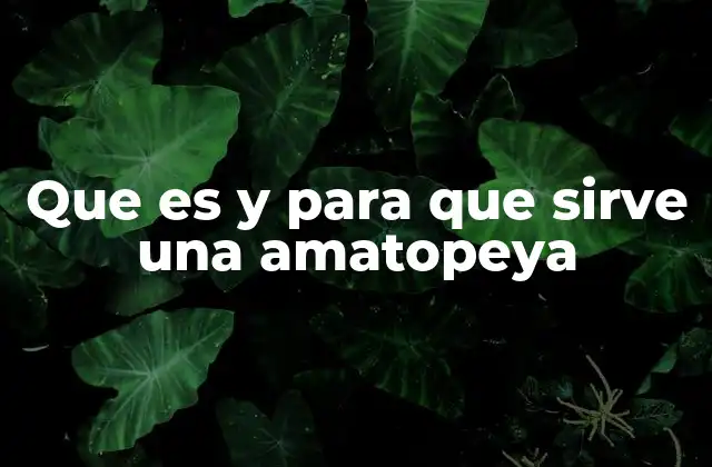 Que es y para que Sirve una Amatopeya