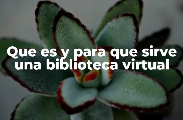Que es y para que Sirve una Biblioteca Virtual