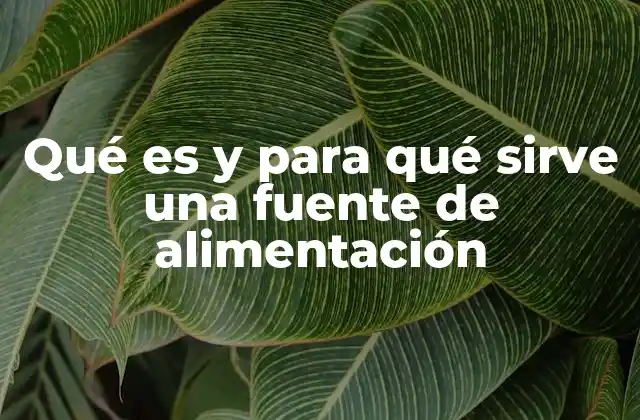Qué es y para Qué Sirve una Fuente de Alimentación
