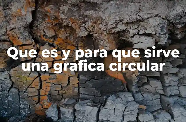 ¿Cómo se interpreta una gráfica circular?