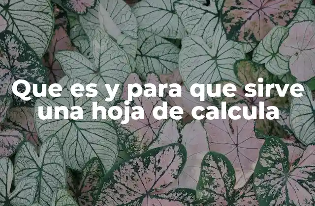 Que es y para que Sirve una Hoja de Calcula
