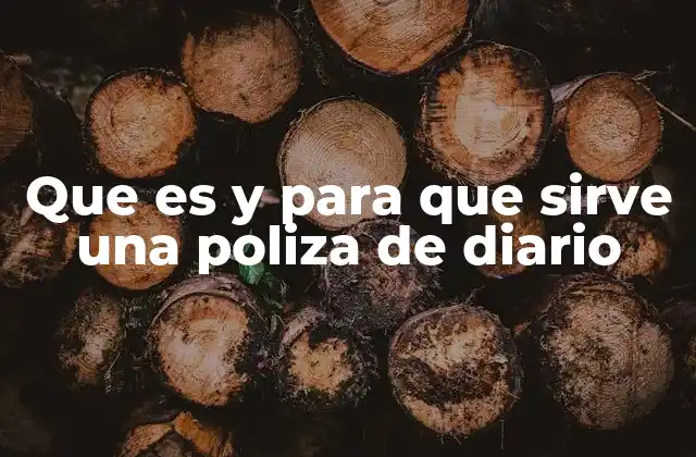 Que es y para que Sirve una Poliza de Diario