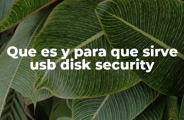 Que es y para que Sirve Usb Disk Security