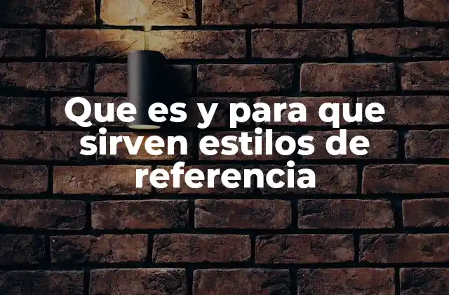 Que es y para que Sirven Estilos de Referencia