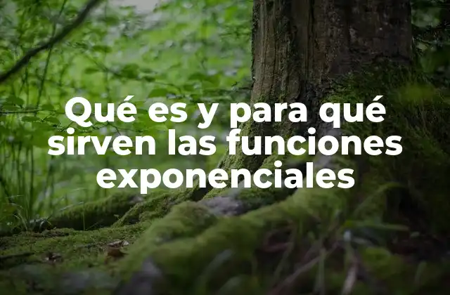 Qué es y para Qué Sirven las Funciones Exponenciales