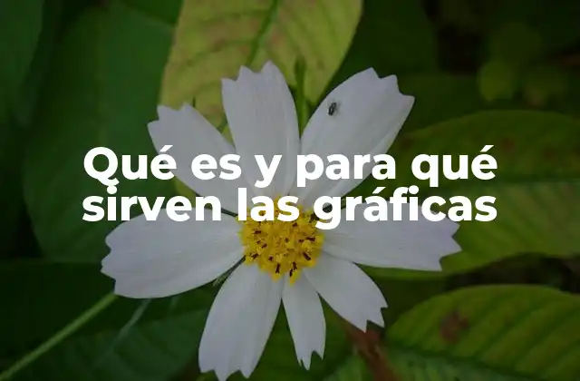 Qué es y para Qué Sirven las Gráficas