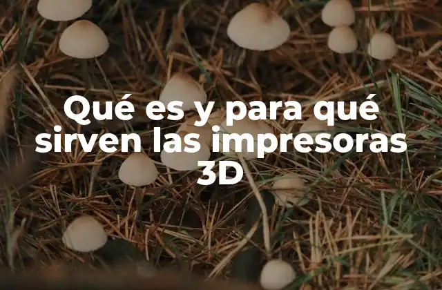 Qué es y para Qué Sirven las Impresoras 3d
