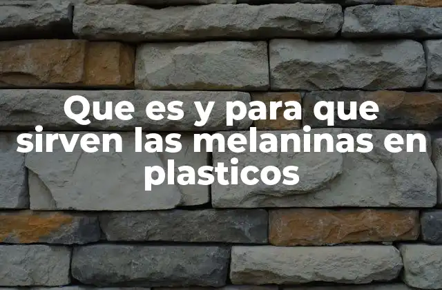 Que es y para que Sirven las Melaninas en Plasticos