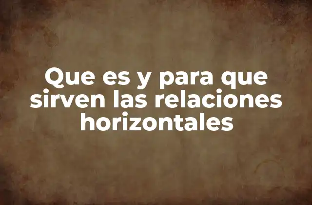 Que es y para que Sirven las Relaciones Horizontales 2 La importancia de la igualdad en las interacciones sociales