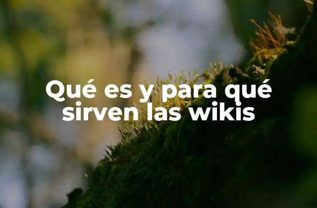 Qué es y para Qué Sirven las Wikis