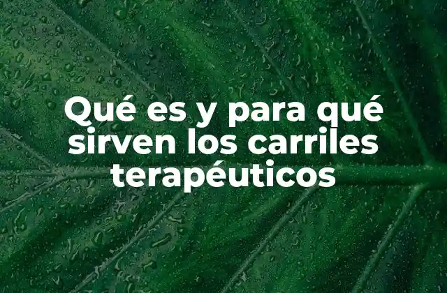 Qué es y para Qué Sirven los Carriles Terapéuticos 2 La importancia de los dispositivos de apoyo en la rehabilitación