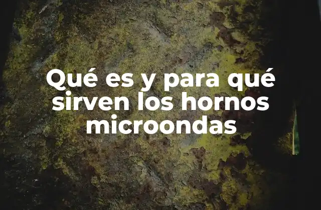 Qué es y para Qué Sirven los Hornos Microondas 2 Funcionamiento y componentes de los hornos microondas