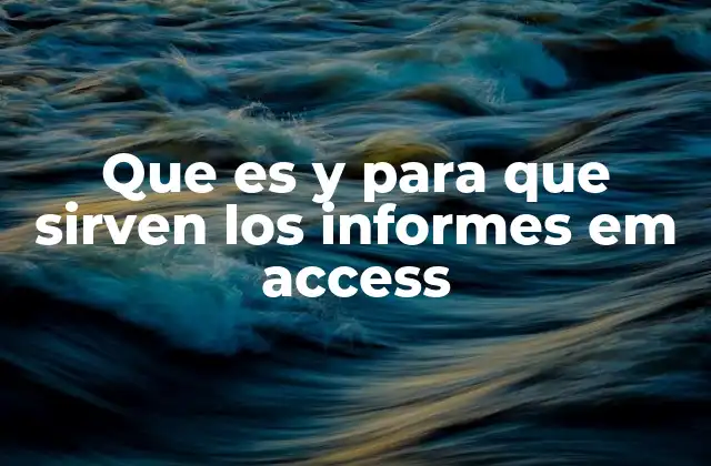 Que es y para que Sirven los Informes Em Access
