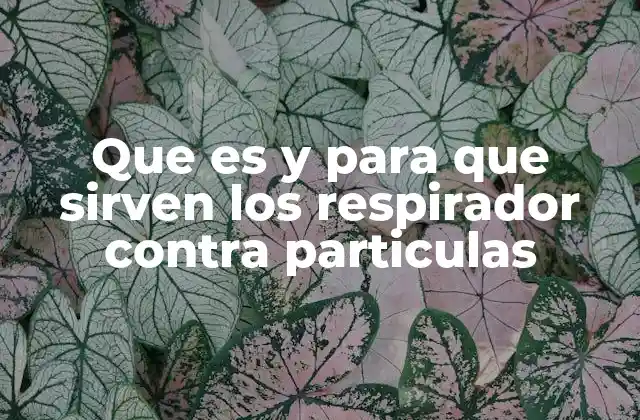 Que es y para que Sirven los Respirador contra Particulas