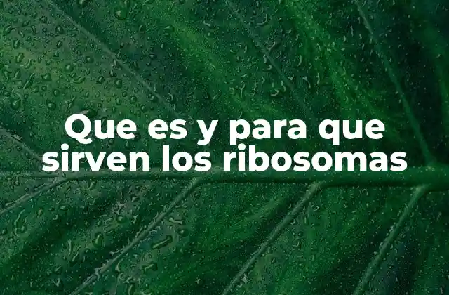 Que es y para que Sirven los Ribosomas