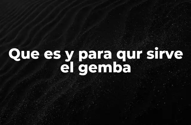 Que es y para Qur Sirve el Gemba