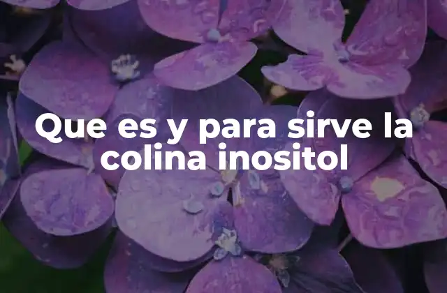 Que es y para Sirve la Colina Inositol