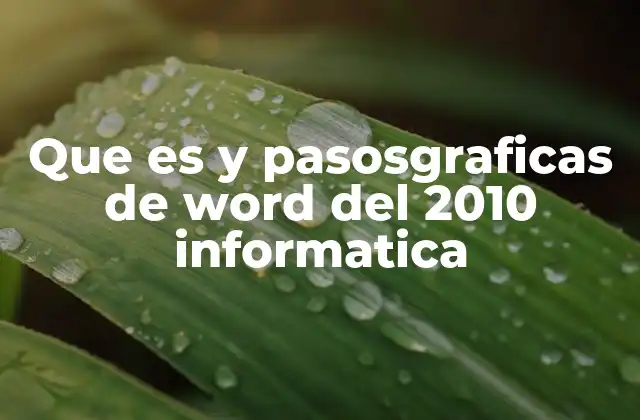 Que es y Pasosgraficas de Word Del 2010 Informatica