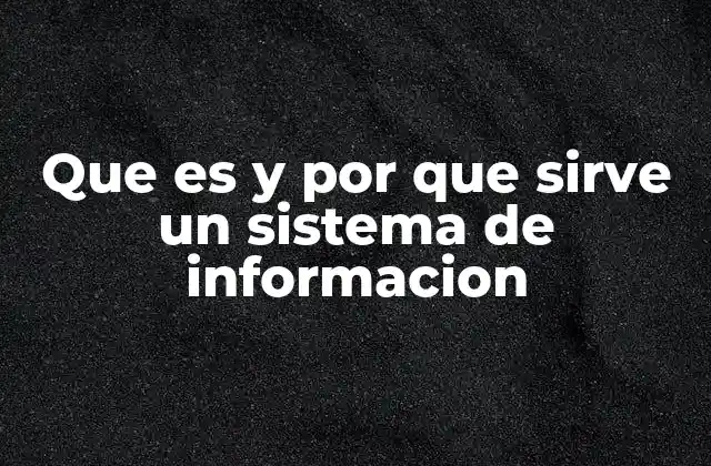 Que es y por que Sirve un Sistema de Informacion 2 El papel de los sistemas de información en la toma de decisiones