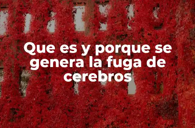 Que es y Porque Se Genera la Fuga de Cerebros