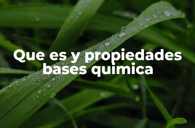 Que es y Propiedades Bases Quimica