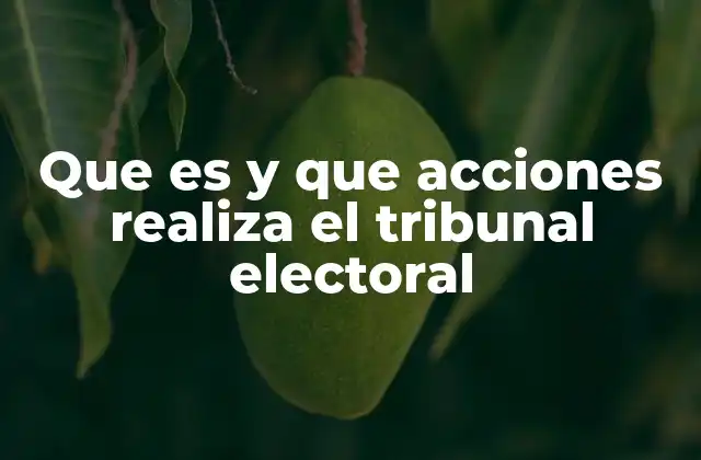 Que es y que Acciones Realiza el Tribunal Electoral