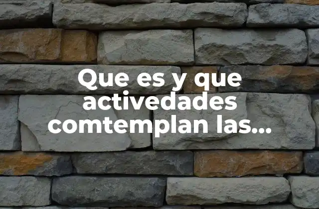 Que es y que Activedades Comtemplan las Actividades Primarias