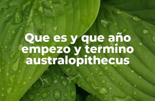 El papel del Australopithecus en la evolución humana