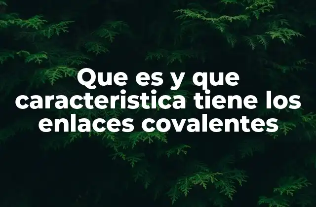 Que es y que Caracteristica Tiene los Enlaces Covalentes