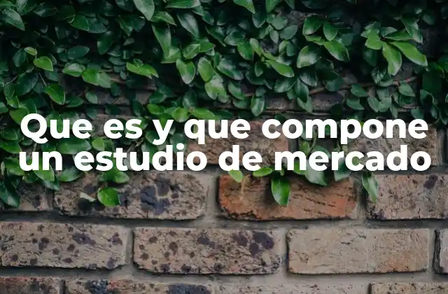 Que es y que Compone un Estudio de Mercado