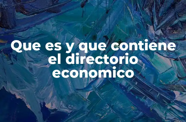 Que es y que Contiene el Directorio Economico