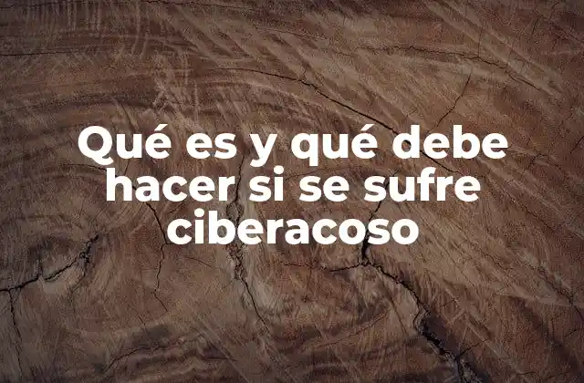 Qué es y Qué Debe Hacer Si Se Sufre Ciberacoso