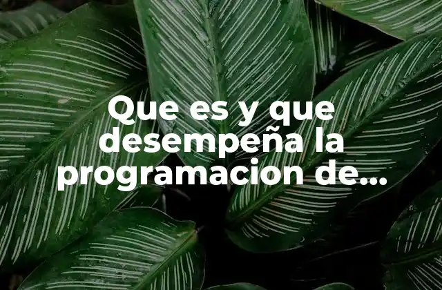 El papel esencial de la programación en la era digital