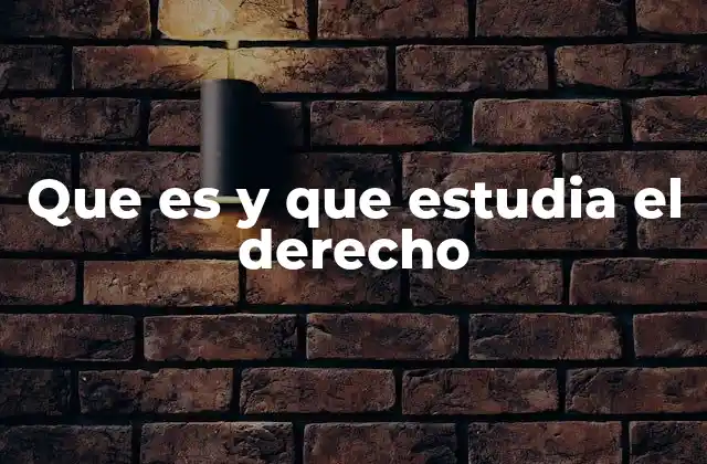 Que es y que Estudia el Derecho 2 La importancia del derecho en la sociedad moderna