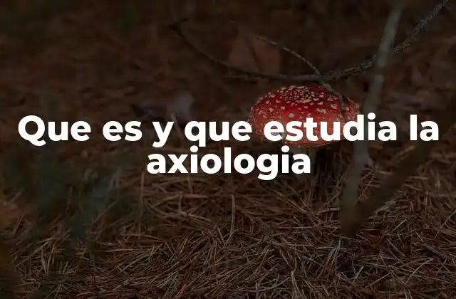 Que es y que Estudia la Axiologia