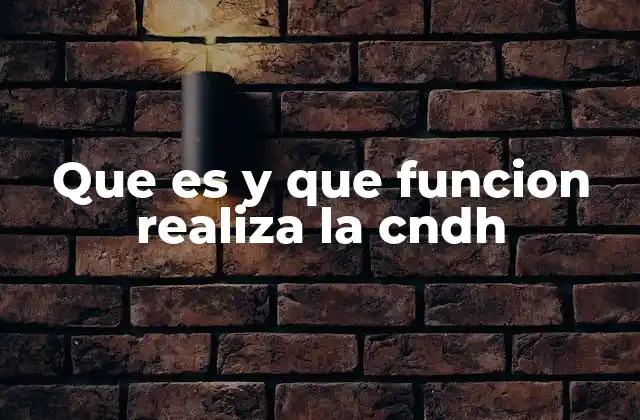 Que es y que Funcion Realiza la Cndh