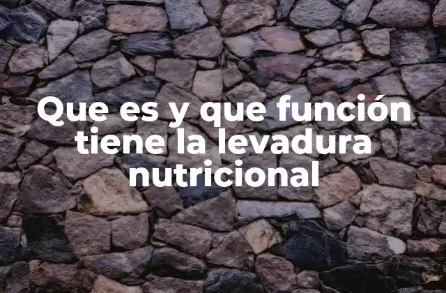 Que es y que Función Tiene la Levadura Nutricional