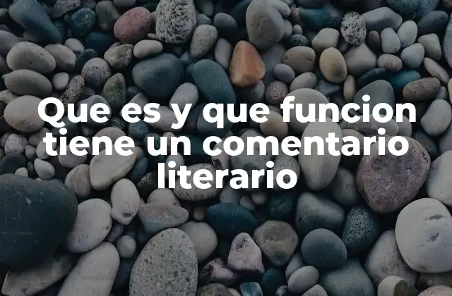 Que es y que Funcion Tiene un Comentario Literario