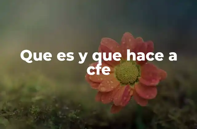 Que es y que Hace a Cfe