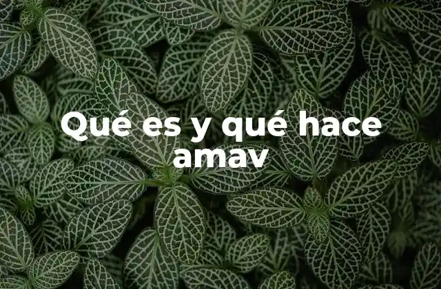Qué es y Qué Hace Amav